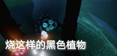 光遇2.22每日任务攻略2022