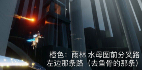 光遇2.15每日任务攻略2022