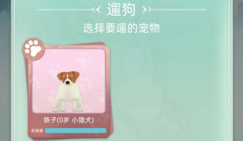 当代人生宠物怎么获得