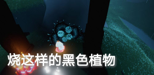 光遇1.13任务攻略2022