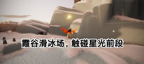 光遇12.31任务攻略2021