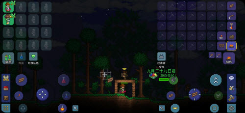 泰拉瑞亚手游虫洞药水怎么用