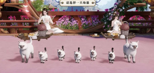 天涯明月刀猫猫怎么换性别