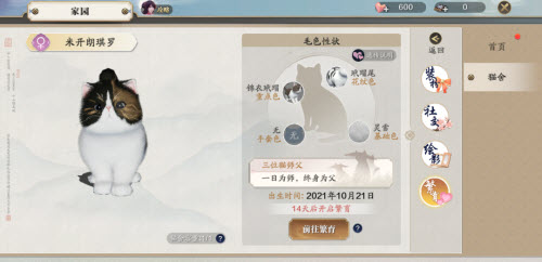 天涯明月刀猫咪繁育攻略