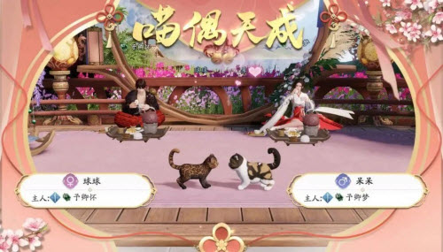 天涯明月刀猫咪繁育攻略