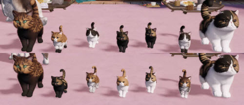 天涯明月刀猫咪繁育攻略