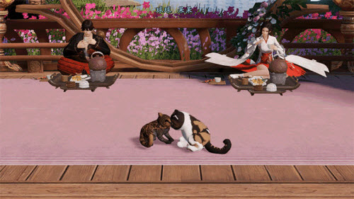 天涯明月刀猫咪繁育攻略