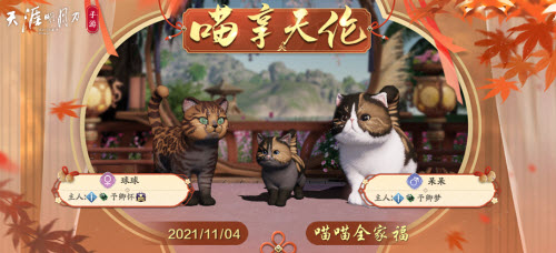 天涯明月刀猫咪繁育攻略