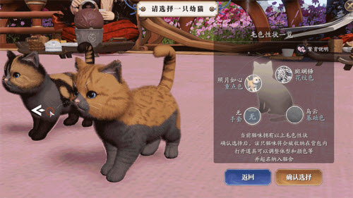 天涯明月刀猫咪繁育攻略