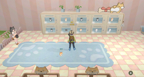 小森生活捐赠狗狗后还可以继续领养狗狗吗