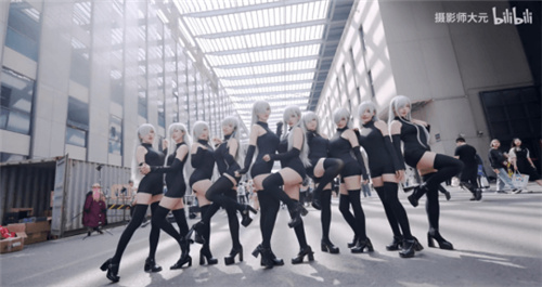 cp29结束了,我最羡慕的竟然是一只猪