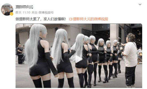 cp29结束了,我最羡慕的竟然是一只猪