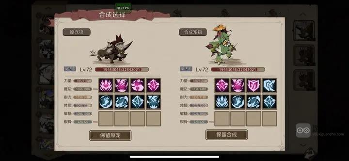 时间之钥宠物培养攻略大全