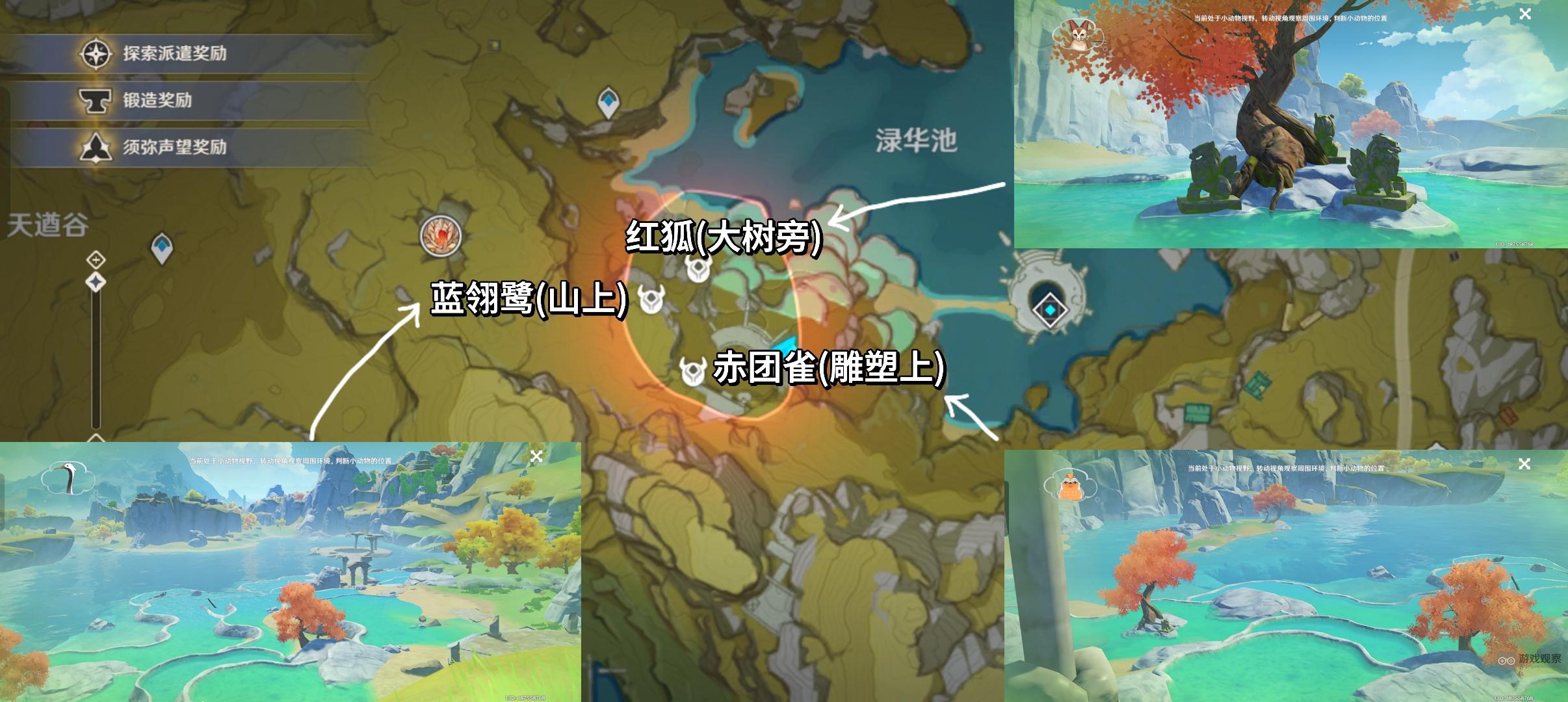 原神湖畔踱步间发现传心同视第三天小动物位置一览