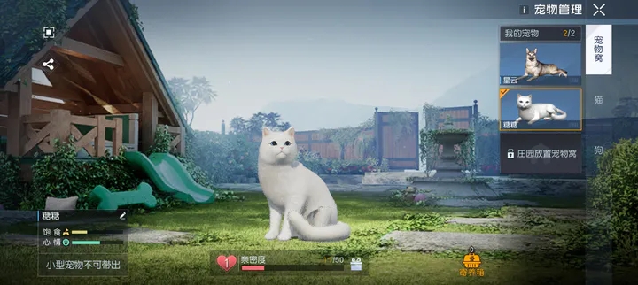 黎明觉醒猫怎么带出去